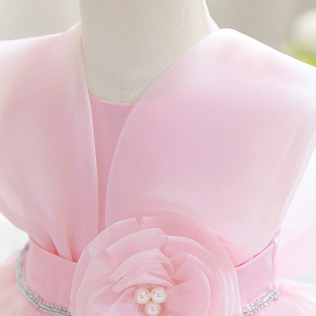 Baby Girl Flower Dress – Baptism, Birthday & Wedding Princess Gown (6M–3Y)